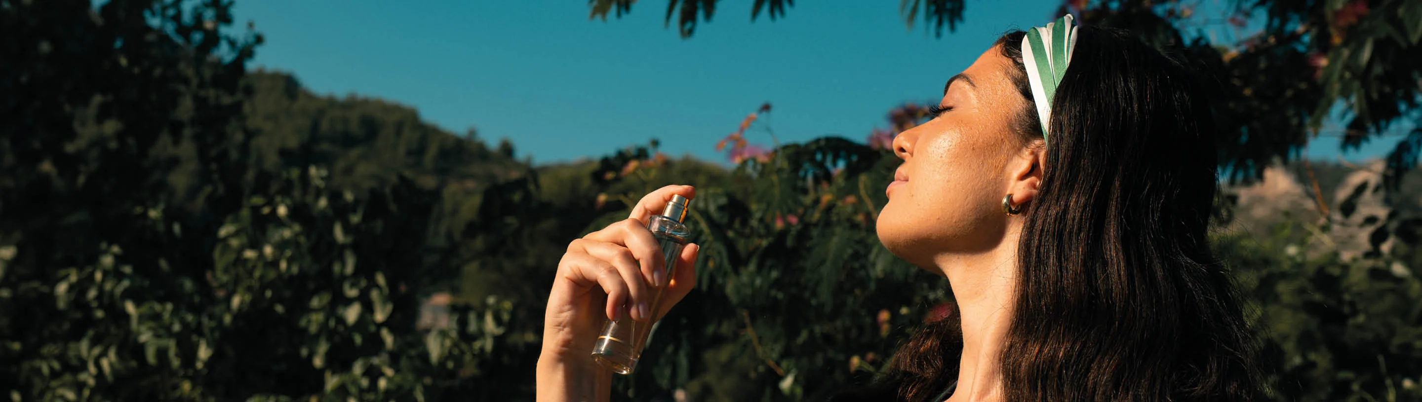 L'essence naturelle de la Provence